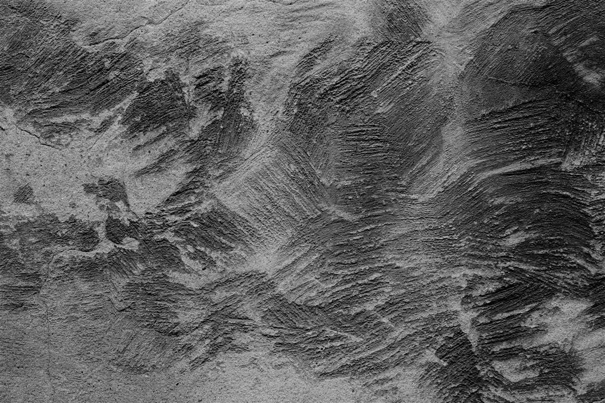 Fototapet dungi decorative în nuanțe deschise și închise