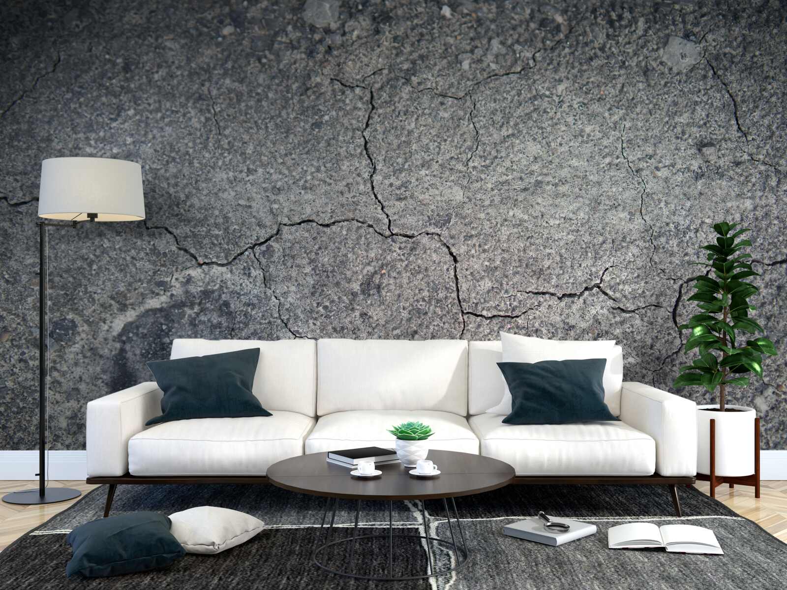 Fototapet starea uscată a solului