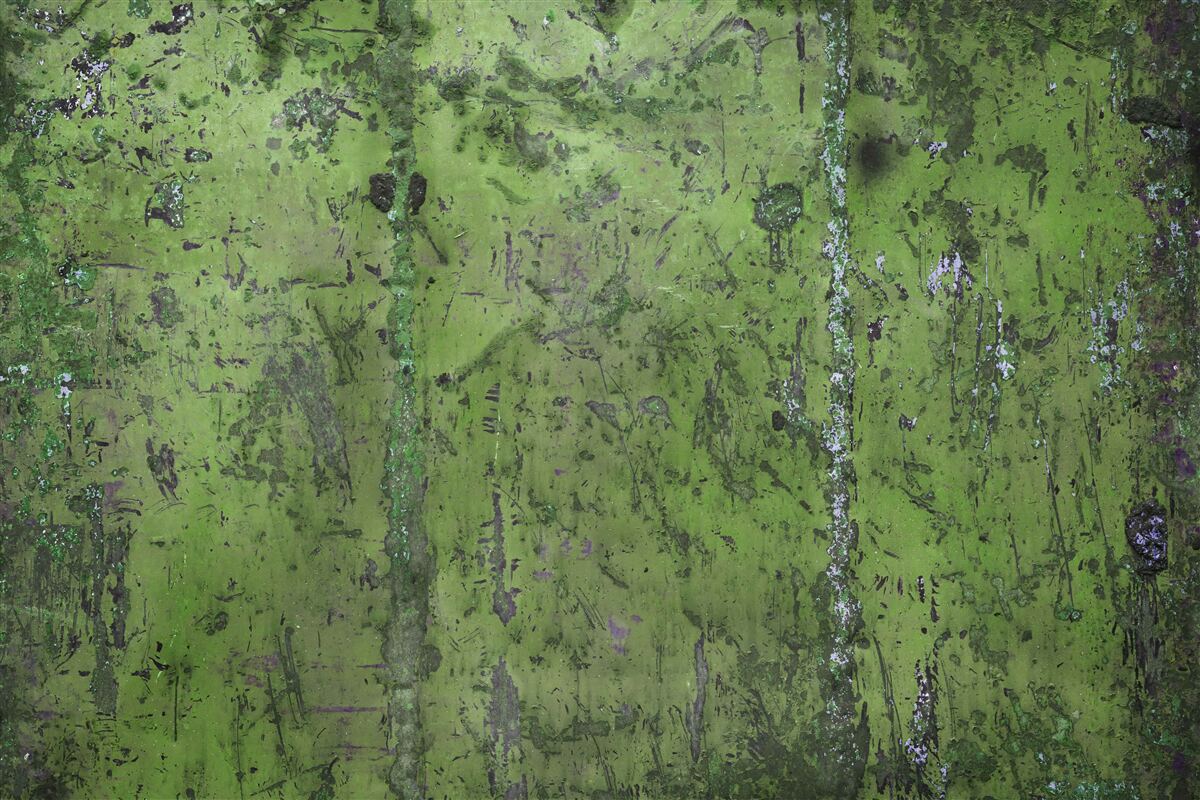 Fototapet Perete acoperit cu rugină verde