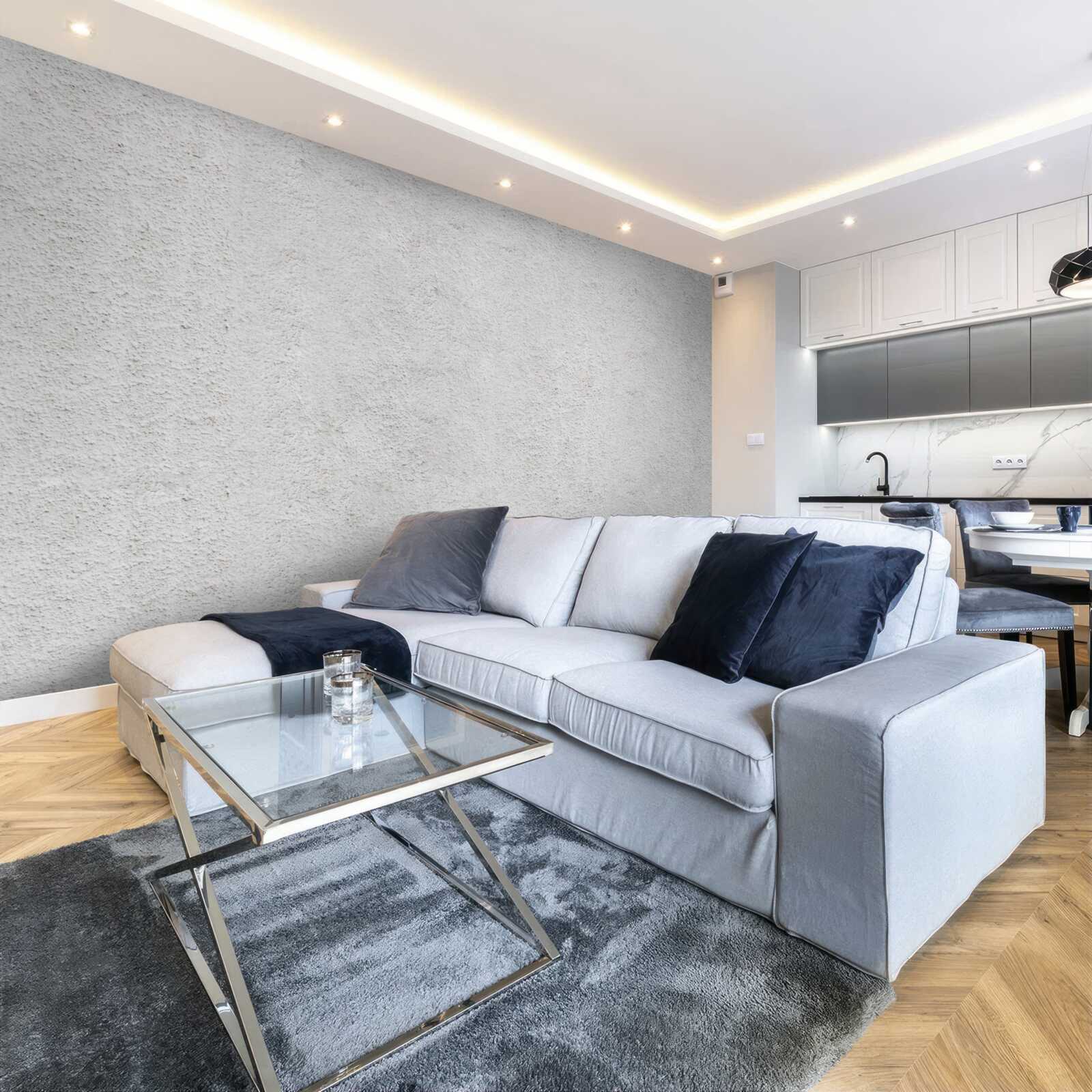 Fototapet ton gri deschis