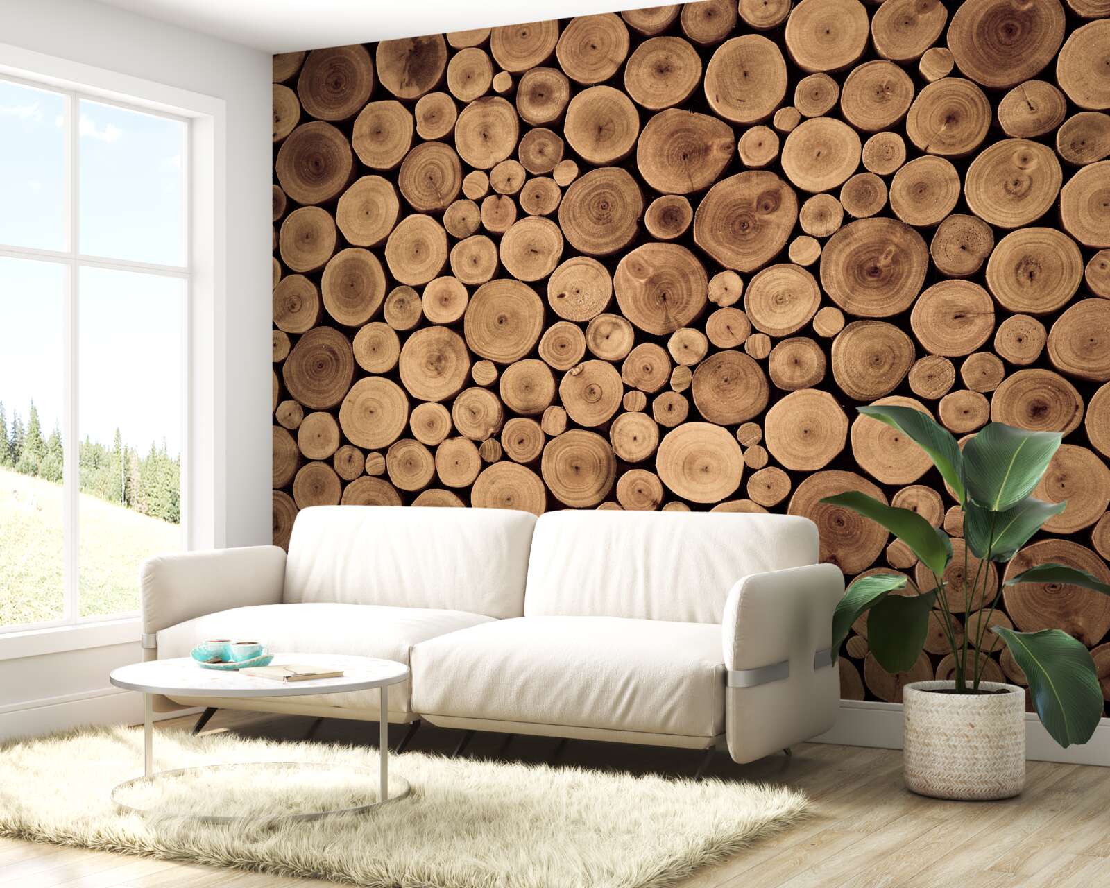 Fototapet tăiați cu atenție trunchiurile rotunde ale copacilor