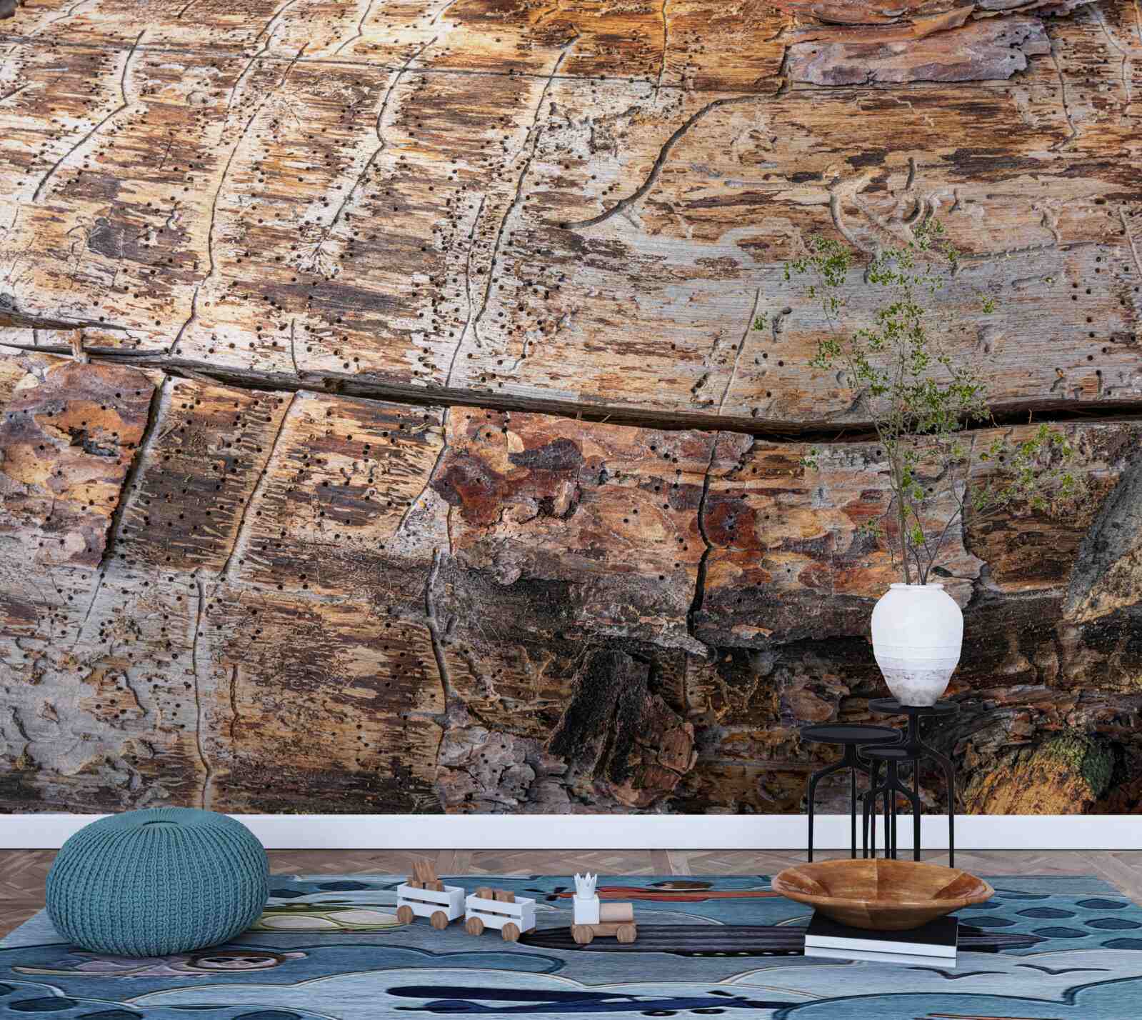 Fototapet structura materialului lemnos în putrefacție