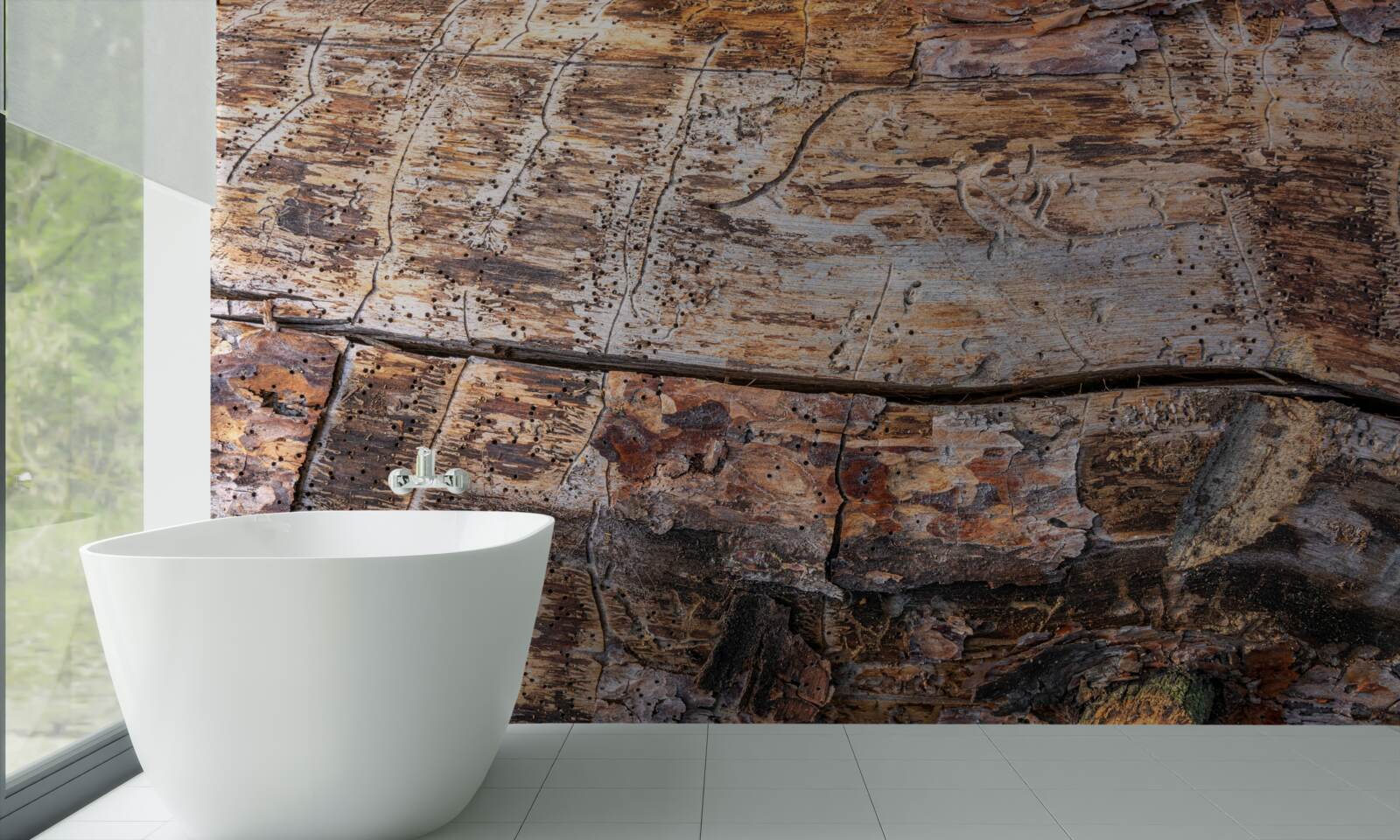 Fototapet structura materialului lemnos în putrefacție