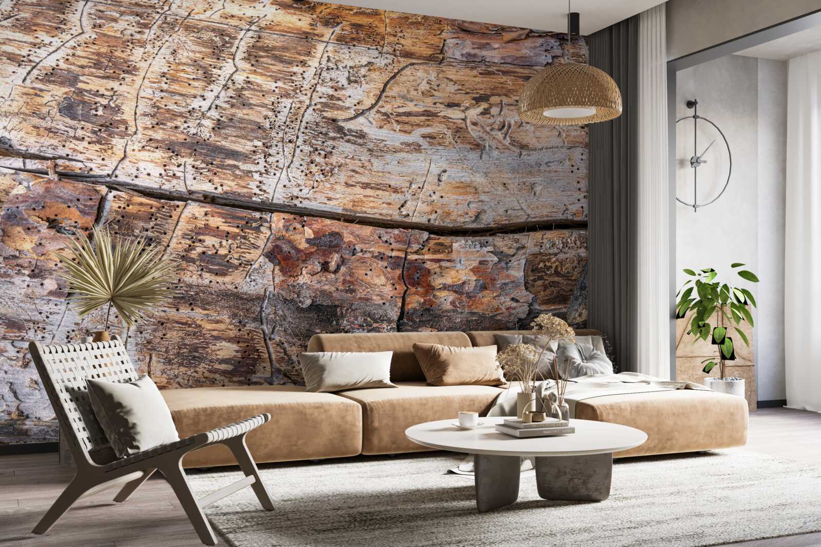 Fototapet structura materialului lemnos în putrefacție