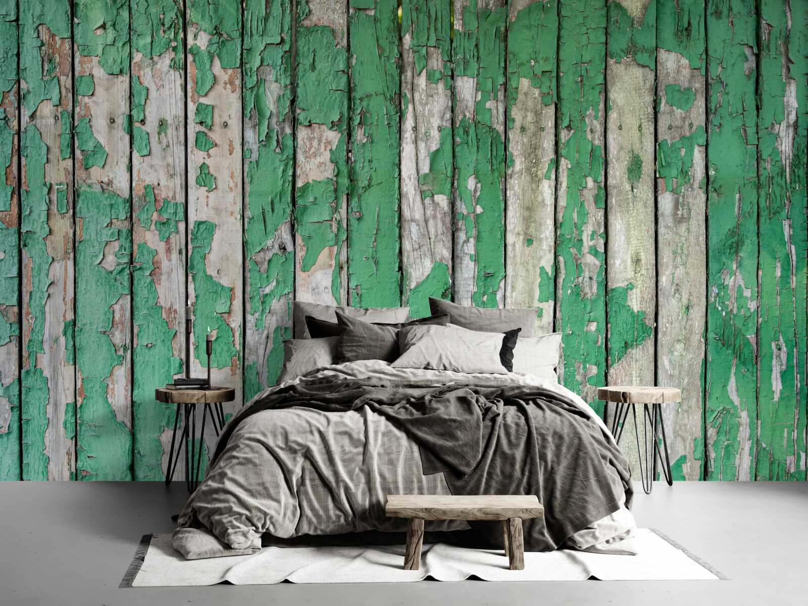 Fototapet un gard care și-a pierdut strălucirea verde