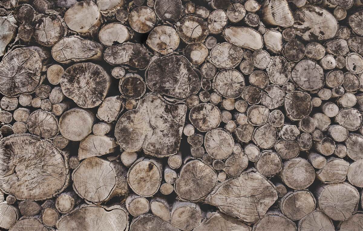 Fototapet bucăți necurate de lemn