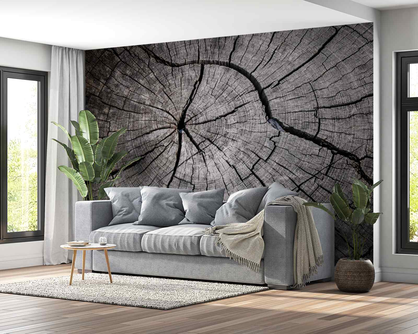 Fototapet crăpăturile trec prin lemnul vechi