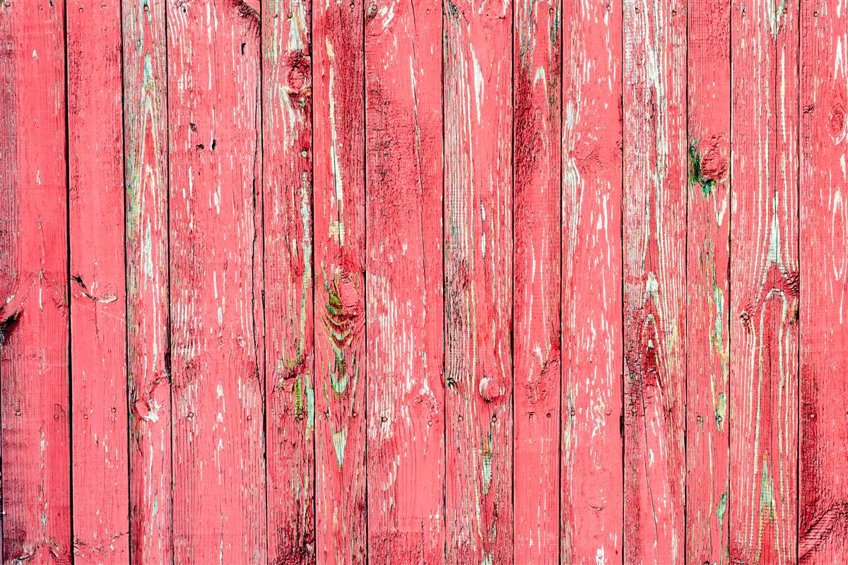 Fototapet gard vopsit roz