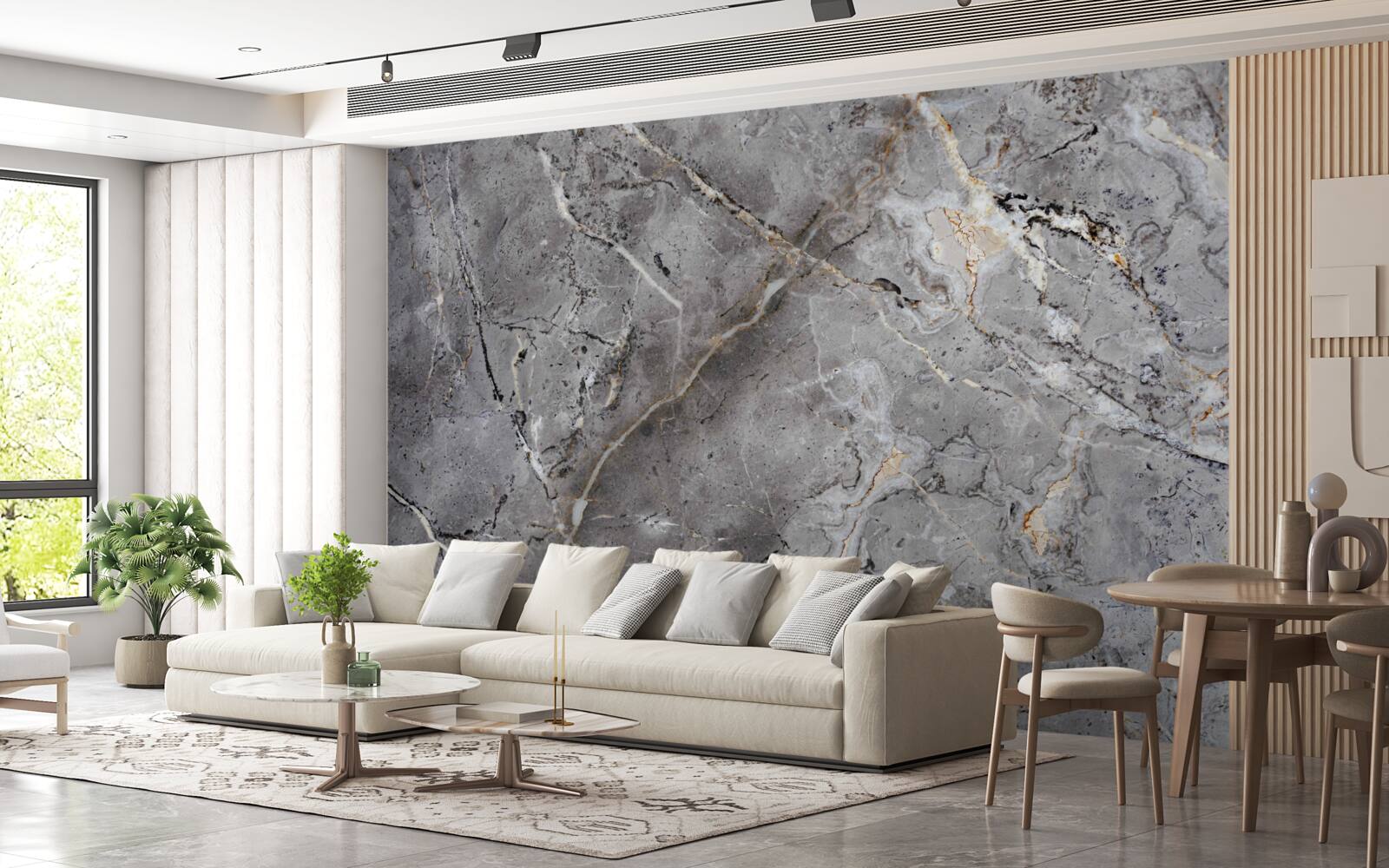 Fototapet marmură gri textură brută