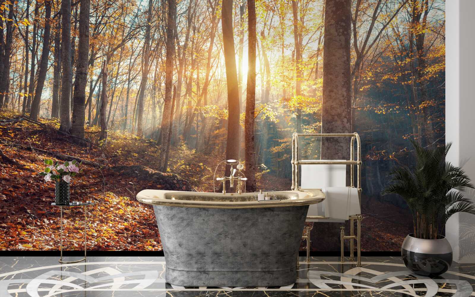 Fototapet dimineața, pădurea învăluită în ceață simte căldura soarelui