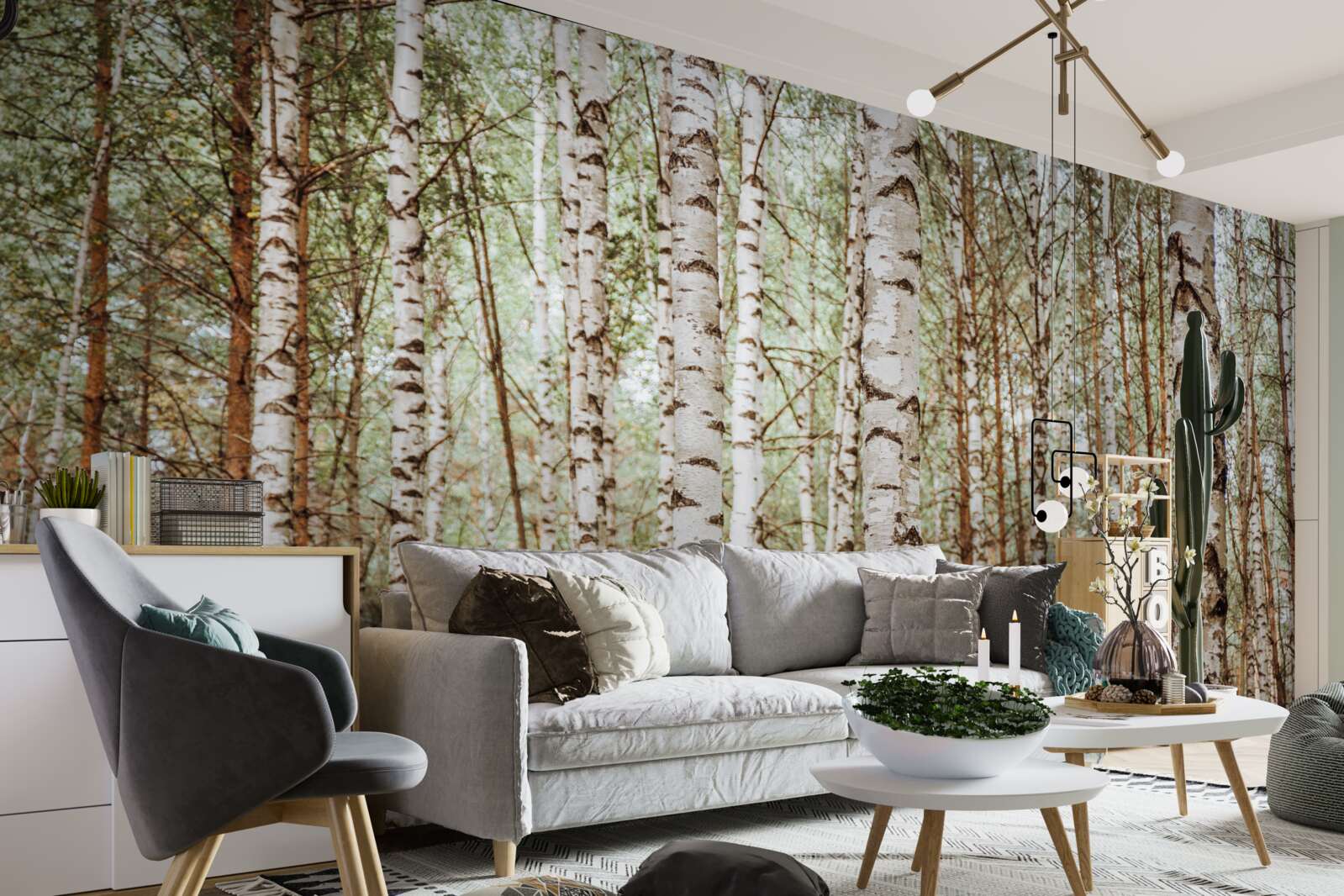 Fototapet mesteceni de sanie stau într-o pădure verde