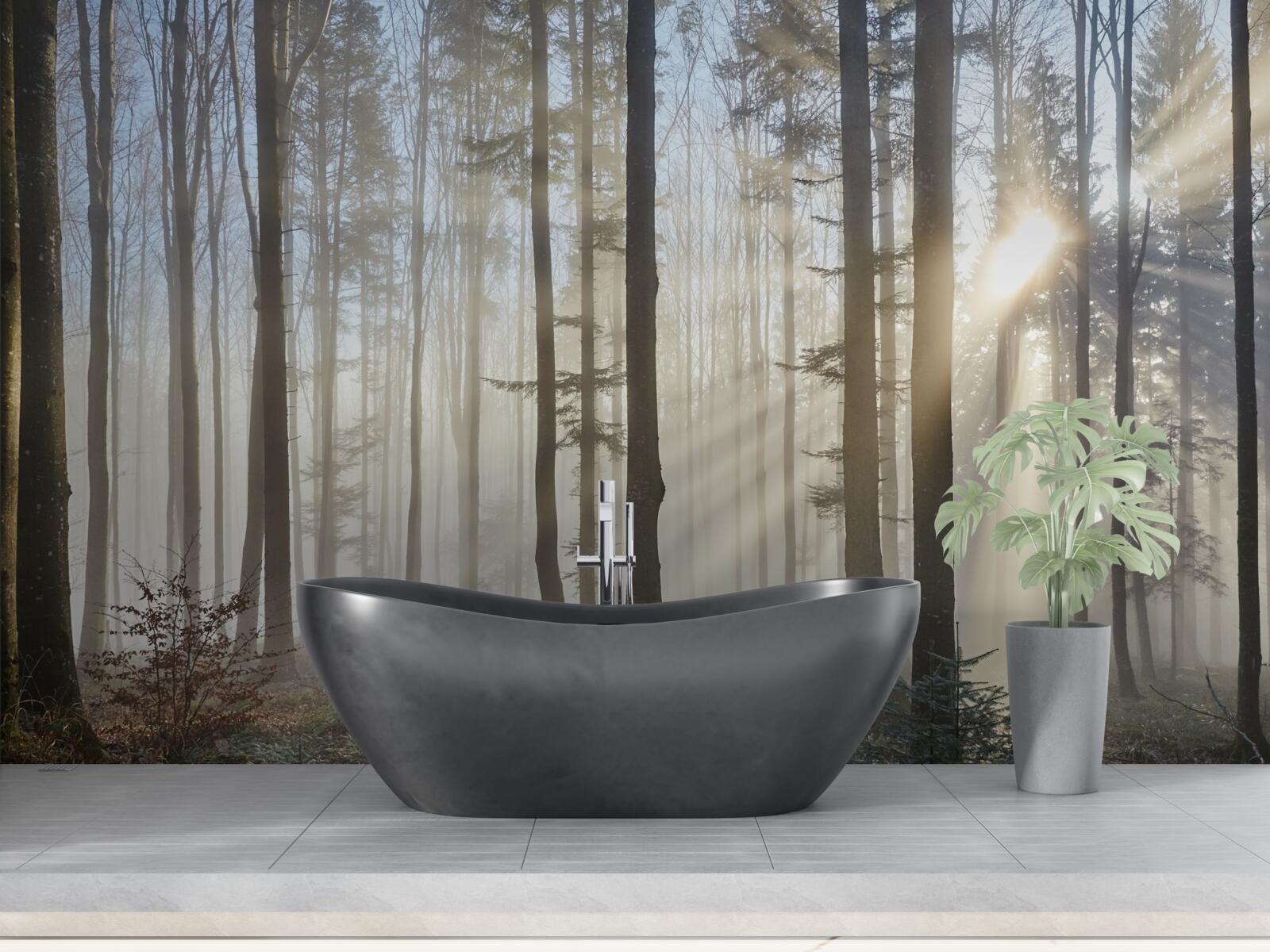 Fototapet razele soarelui străpung ceața într-un tufiș de copaci