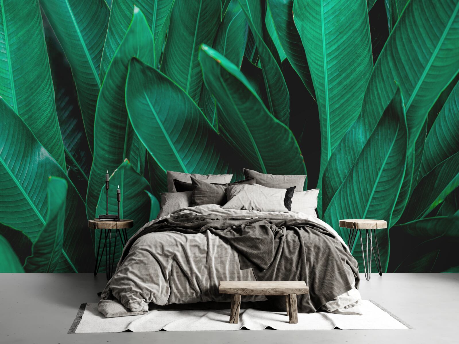 Fototapet ferigă cu o ușoară nuanță de smarald