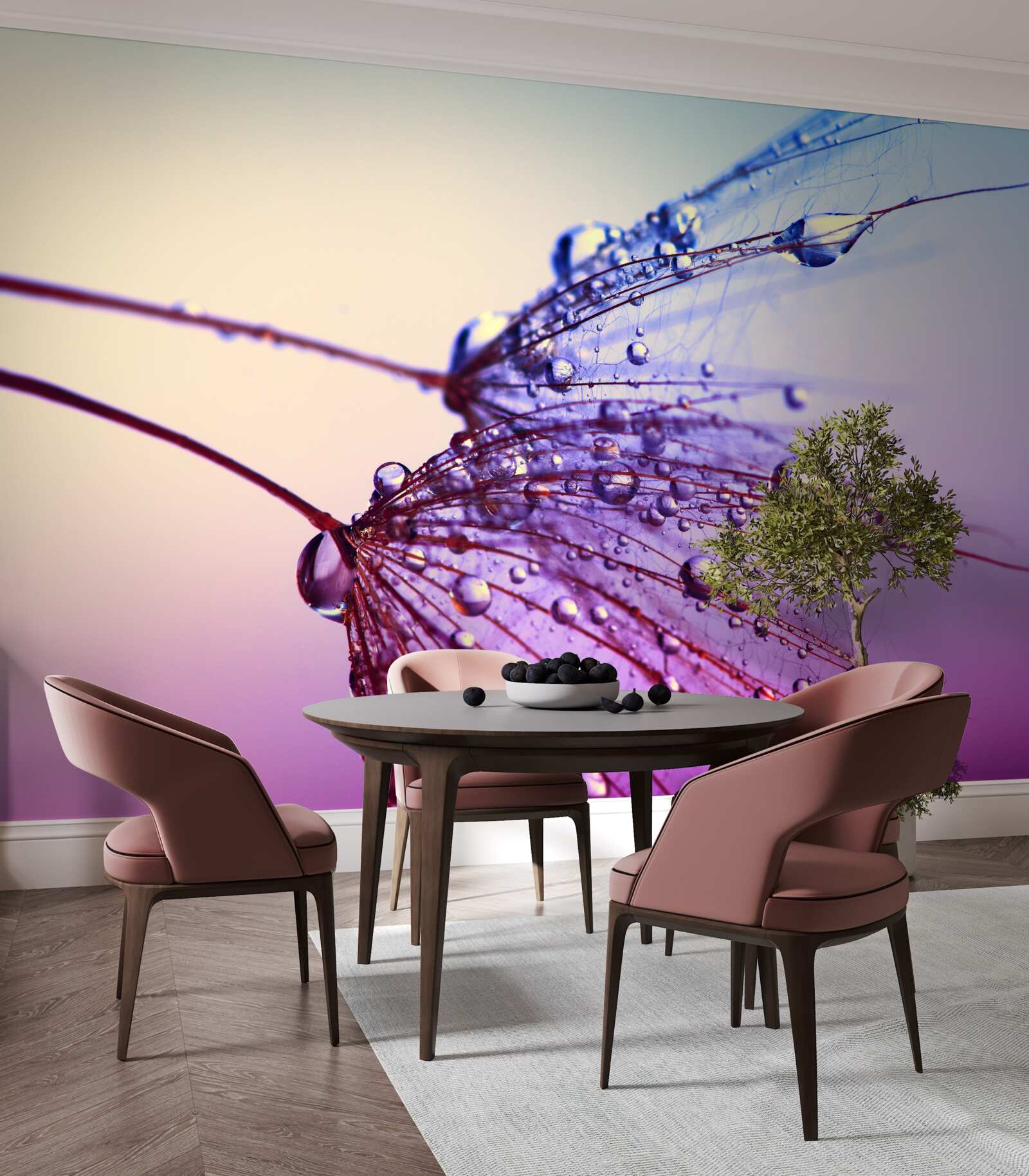 Fototapet la apus, picăturile de rouă decorează păpădia