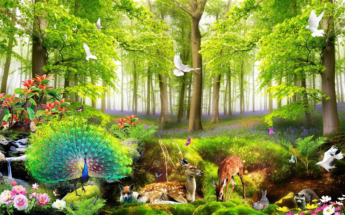 Fototapet fauna pădurilor verzi de vară