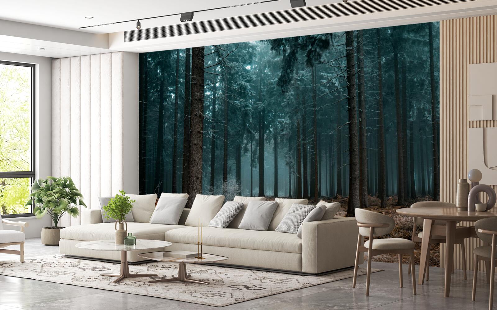 Fototapet traseu valoros în pădurea densă și cețoasă