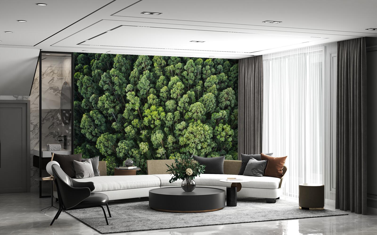 Fototapet copaci de pădure cu coroane verzi