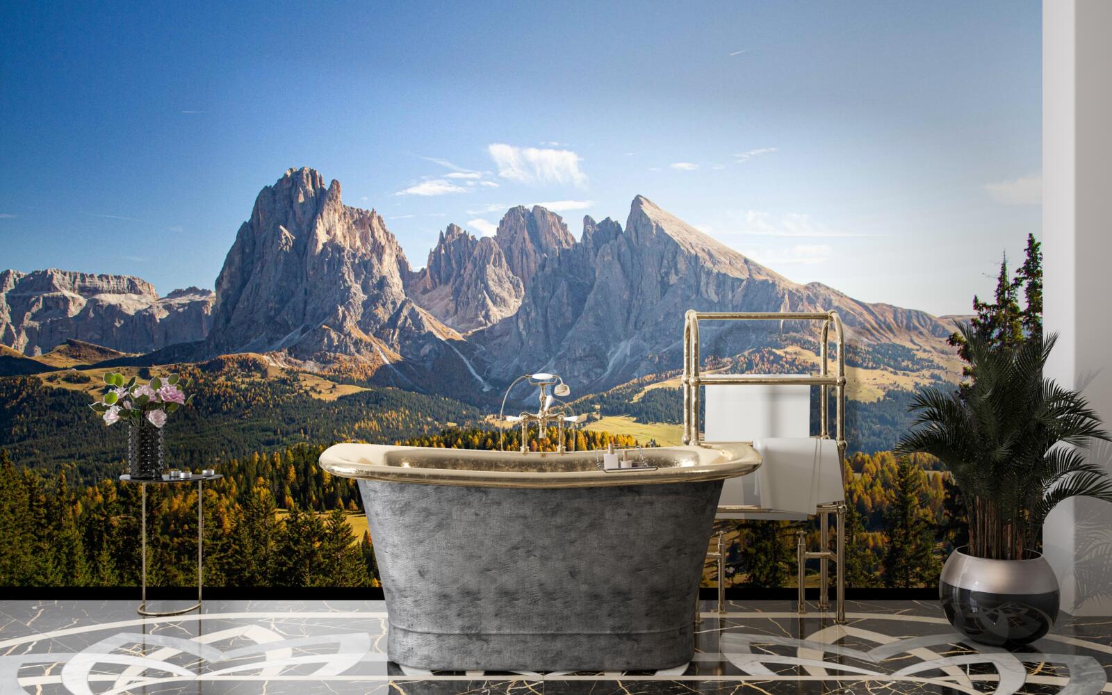 Fototapet pădure densă și munții Langkofel impresionanți