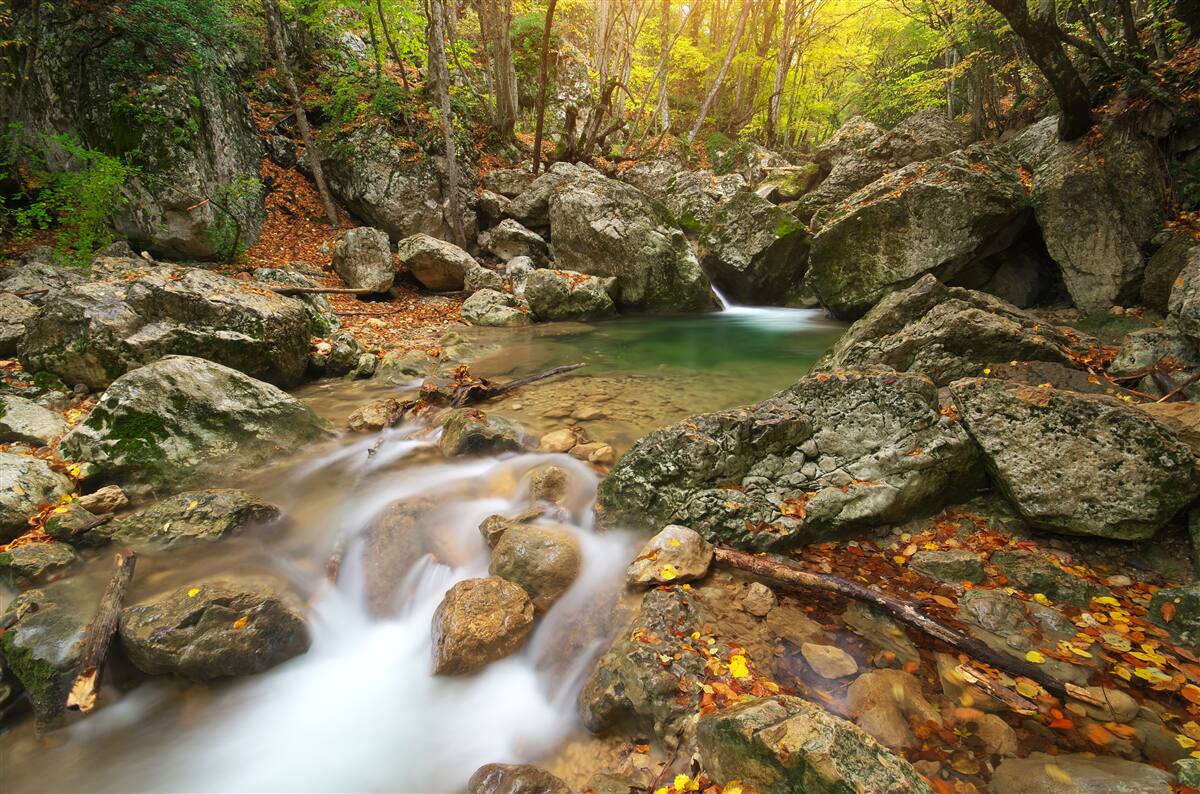 Fototapet debitul râului în toamnă