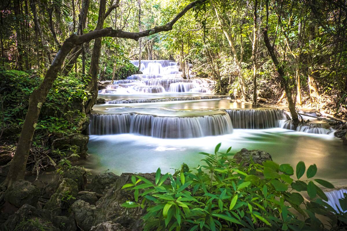Fototapet cascade de pădure în zori