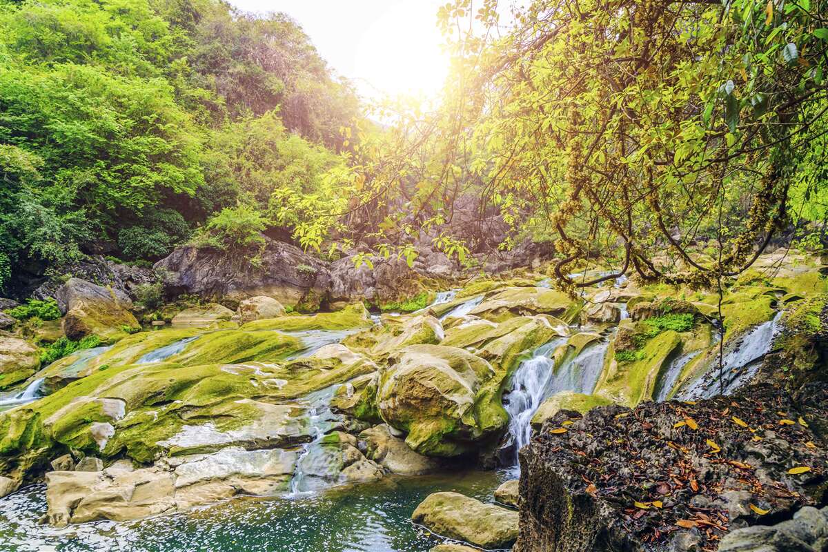 Fototapet răsărit de soare deasupra râului cu natura sa colorată