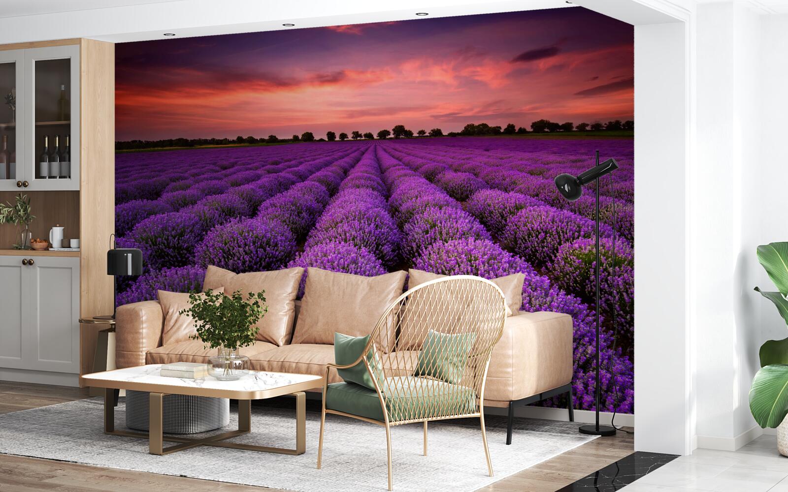Fototapet un câmp minunat de lavandă