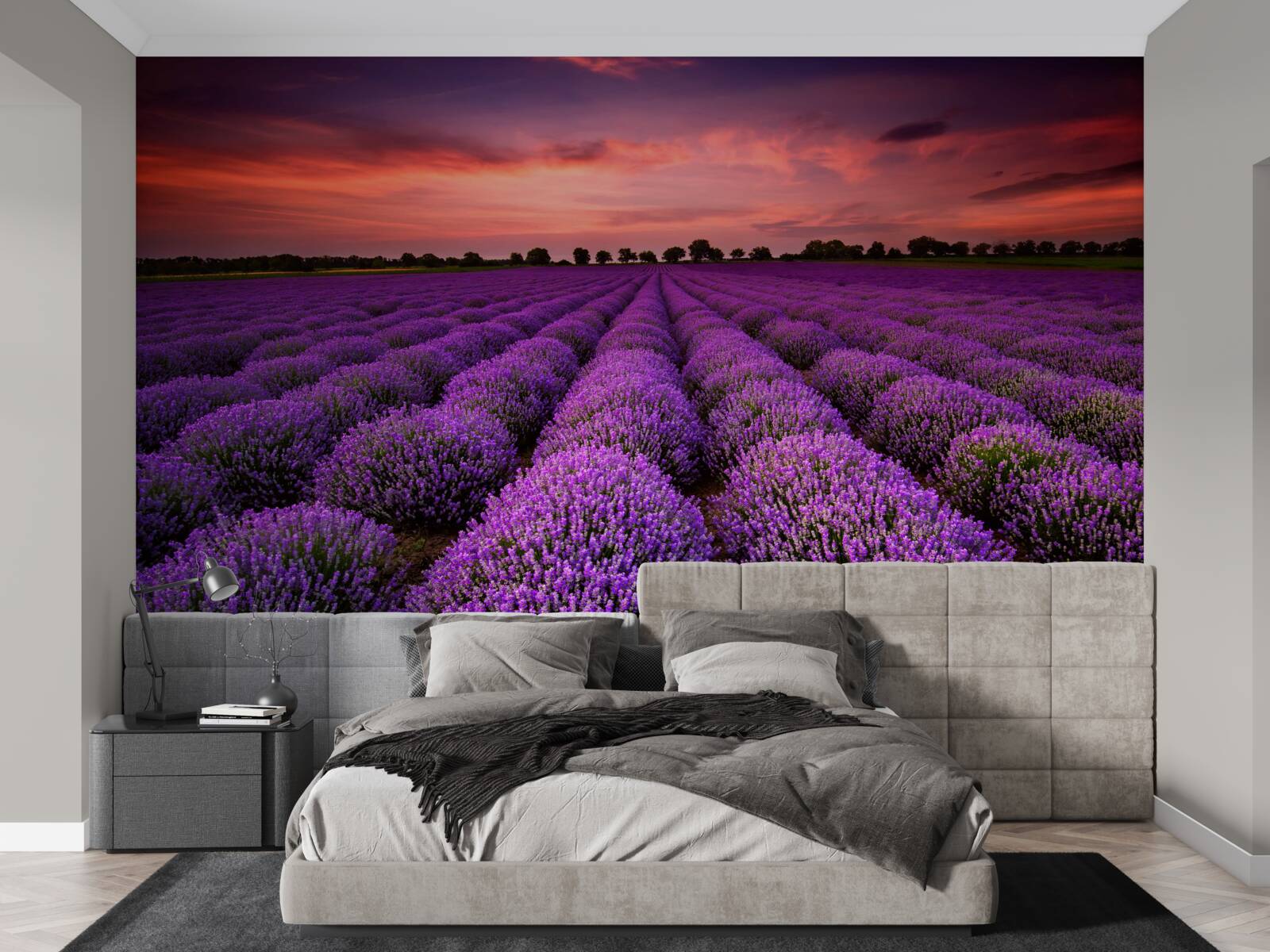 Fototapet un câmp minunat de lavandă