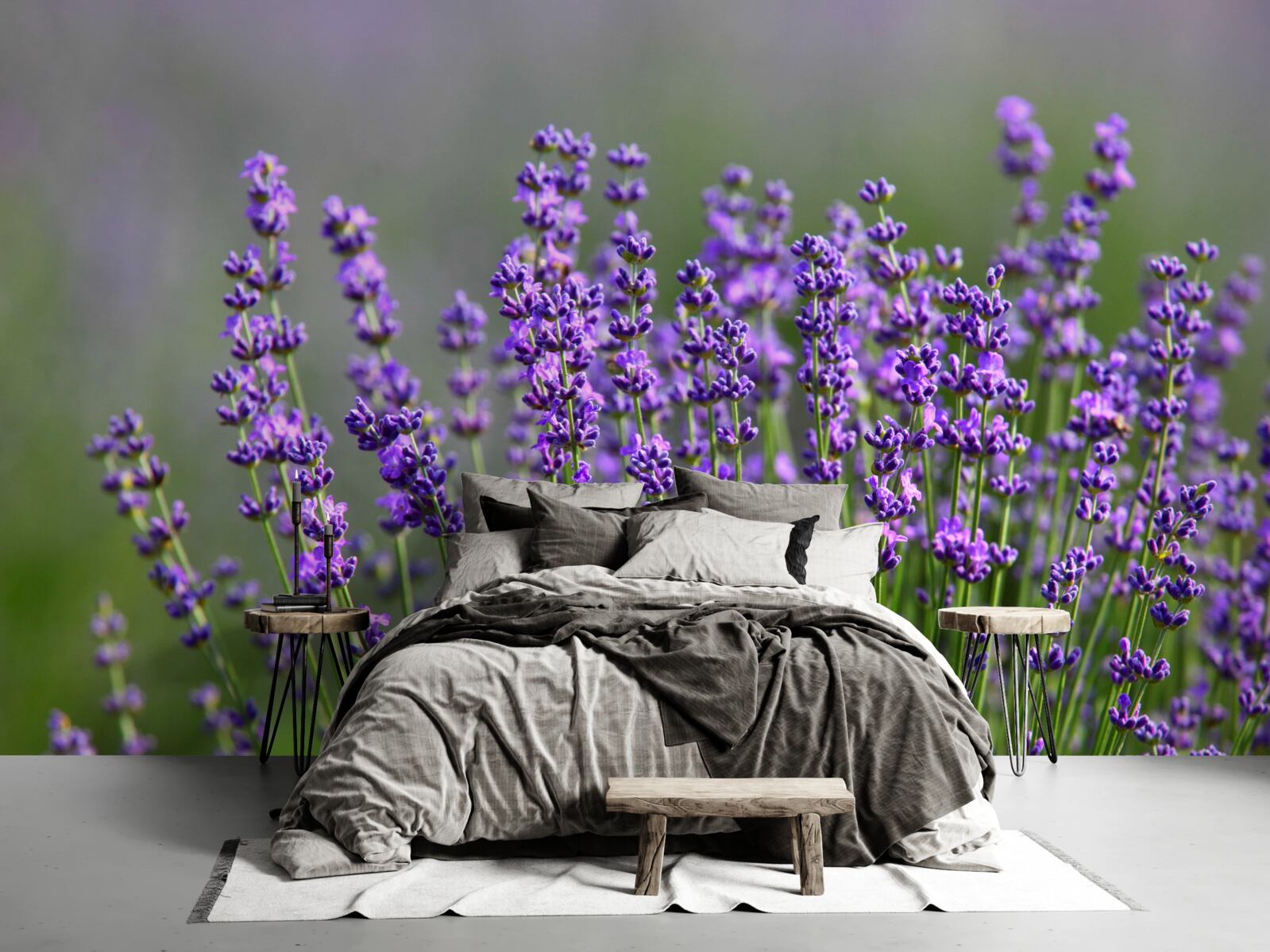 Fototapet culoare lavanda-violet