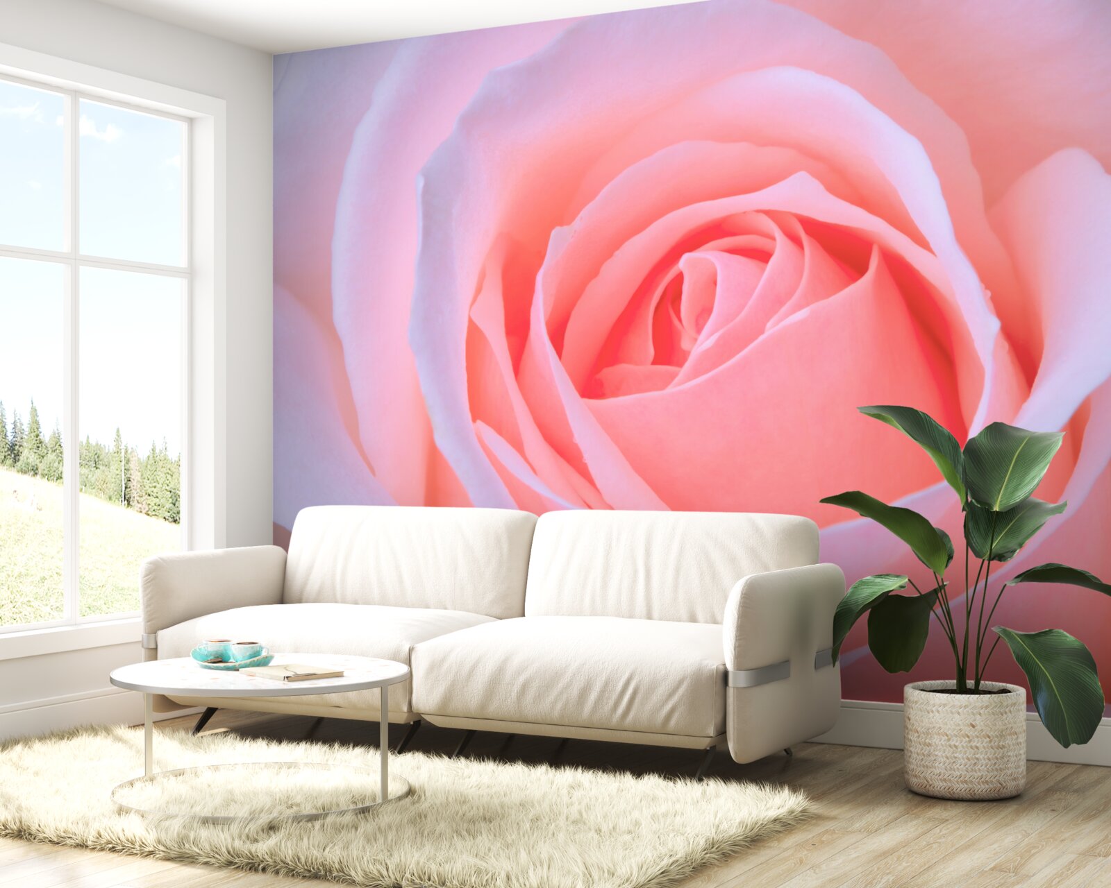 Fototapet trandafir delicat cu petale roz frumoase