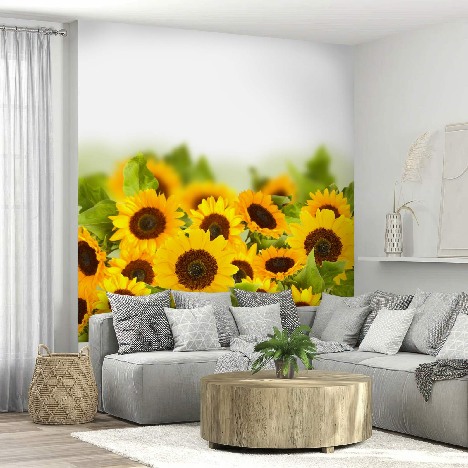 similar product image