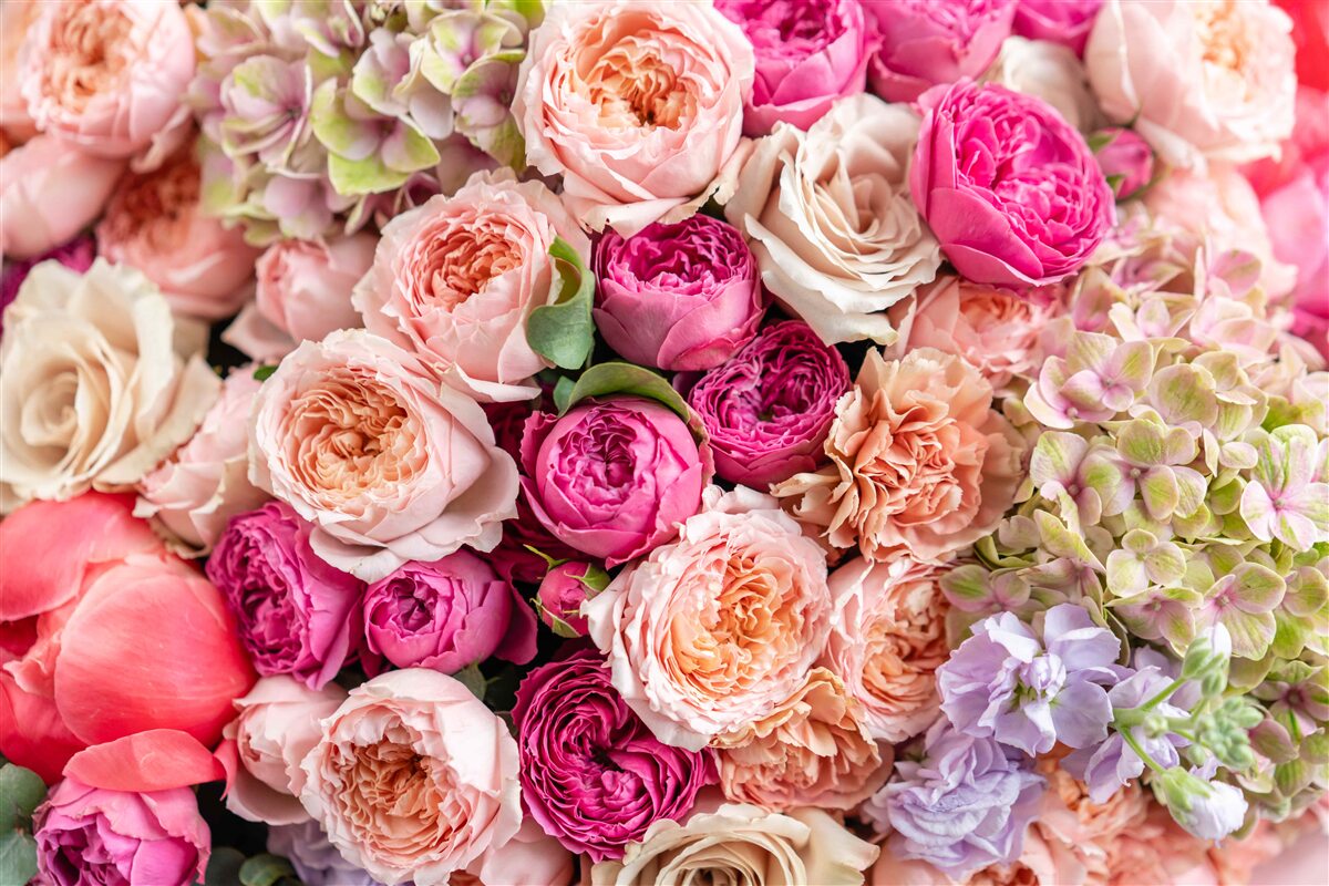 Fototapet o combinație de trandafiri magnifici diferiți într-un buchet