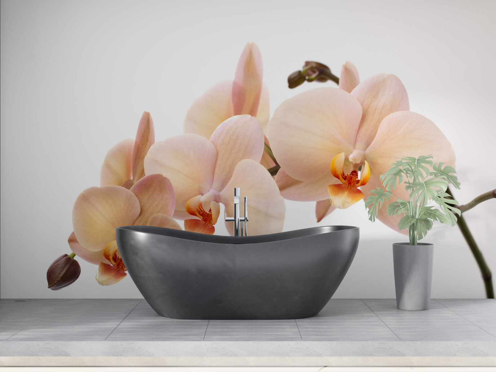 Fototapet ramură izolată a unei orhidee piersică