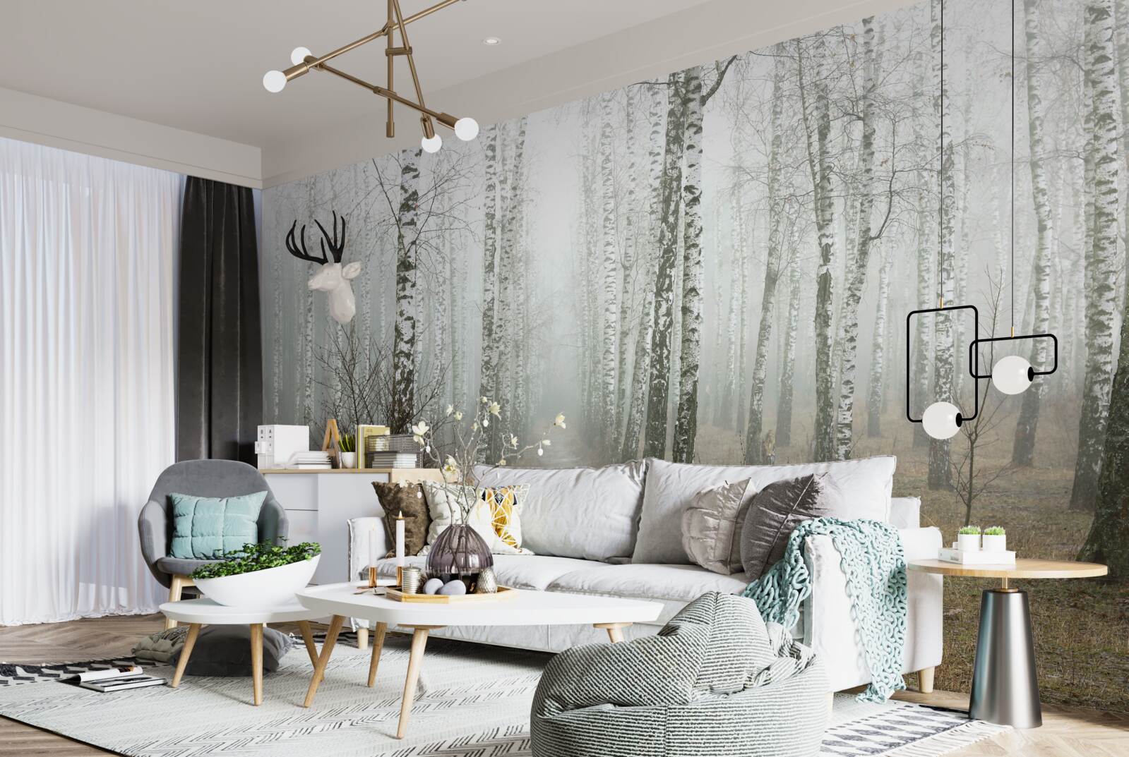 Fototapet O cărare printr-o pădure cețoasă plină de mesteceni