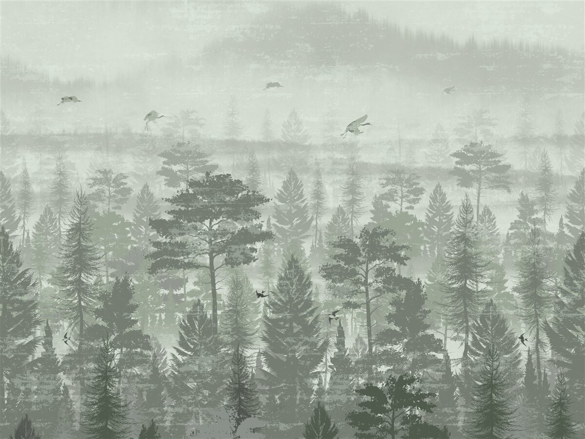 Fototapet pădure tropicală în timpul perioadelor de precipitații abundente