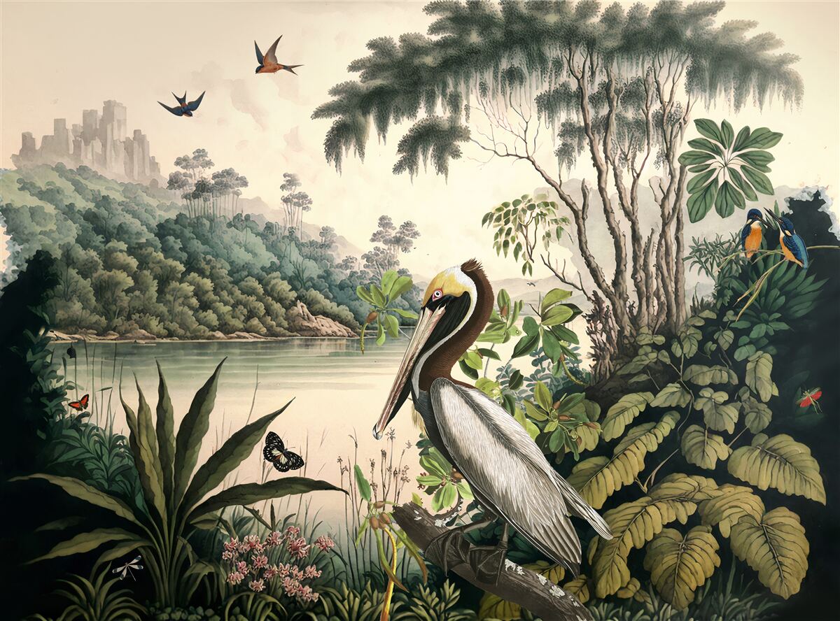 Fototapet pelicanul caută hrană în apele lacului