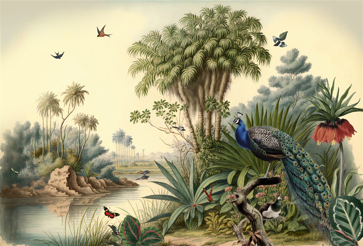 Fototapet păunul în adevăratul său habitat