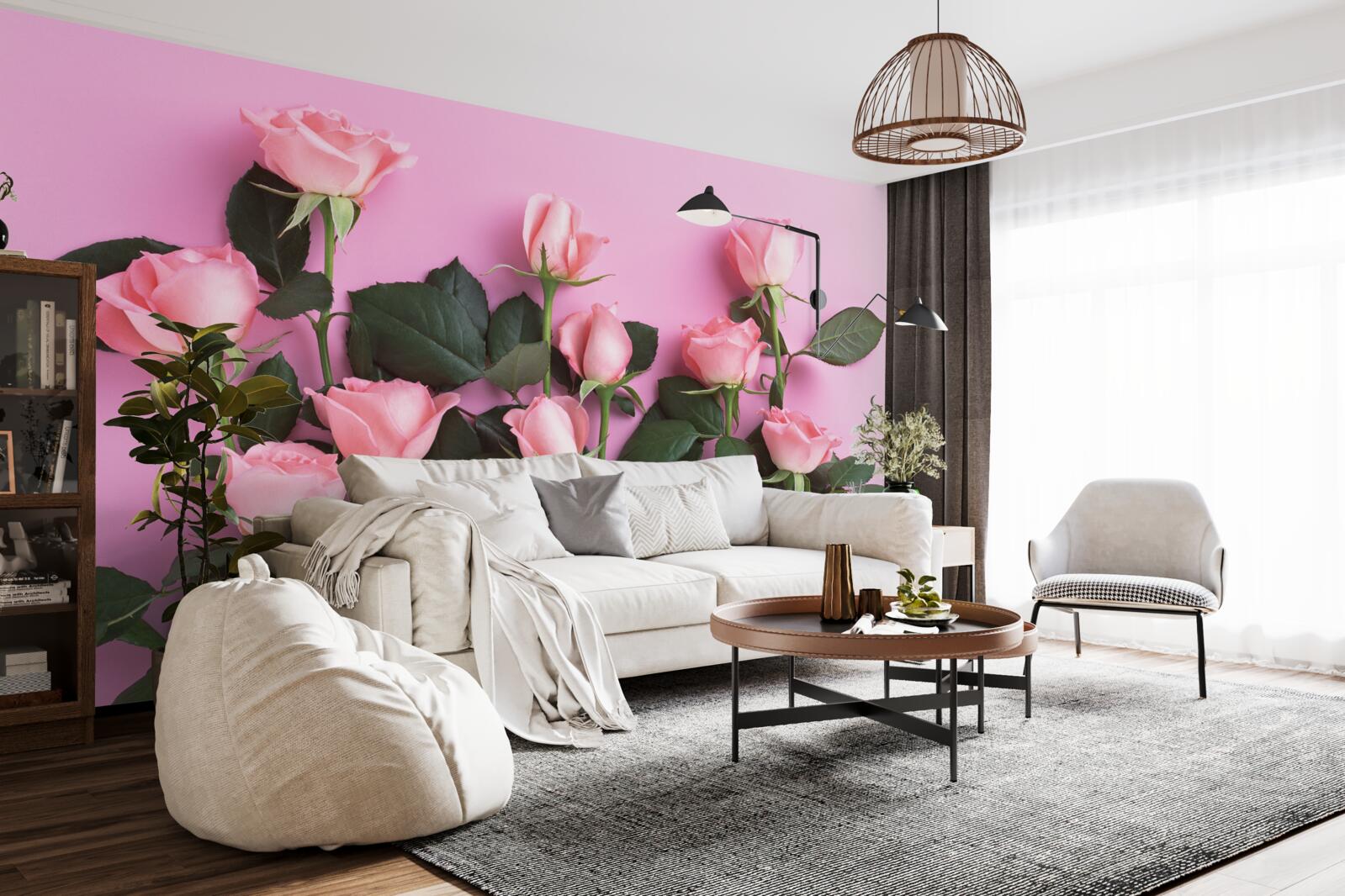 Fototapet trandafiri roz delicat pe un fundal roz solid