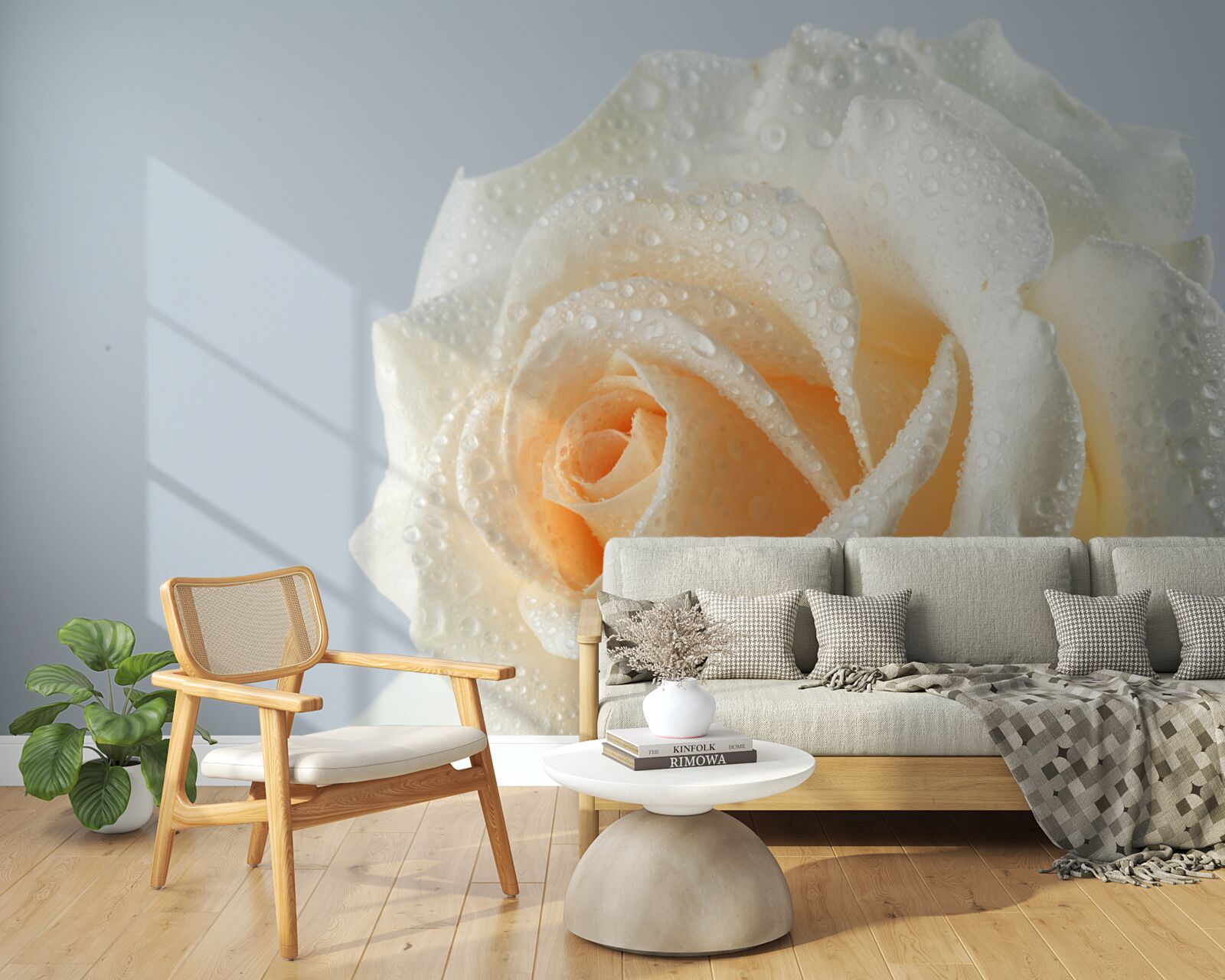 Fototapet picături de apă pe o floare cremoasă de trandafir