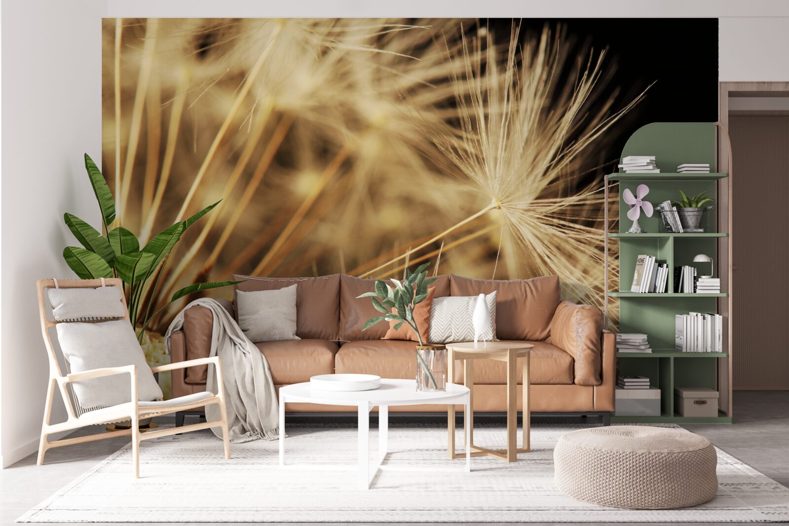 Fototapet florile de păpădie sunt albe pe un fundal negru