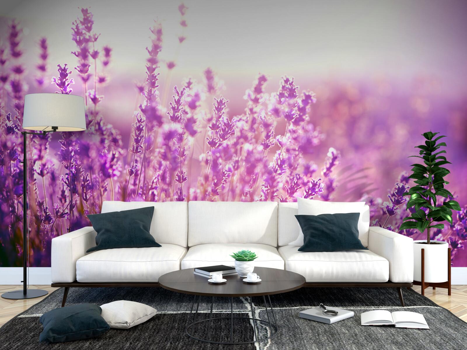 Fototapet flori de levănțică în zori