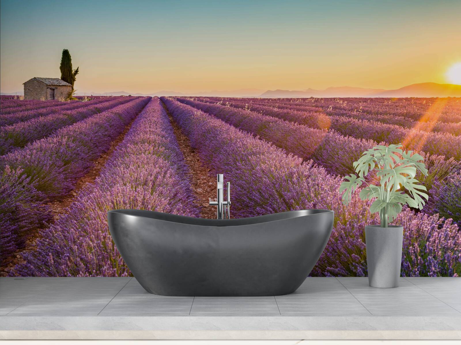 Fototapet Zorii au răsărit peste un câmp de lavandă