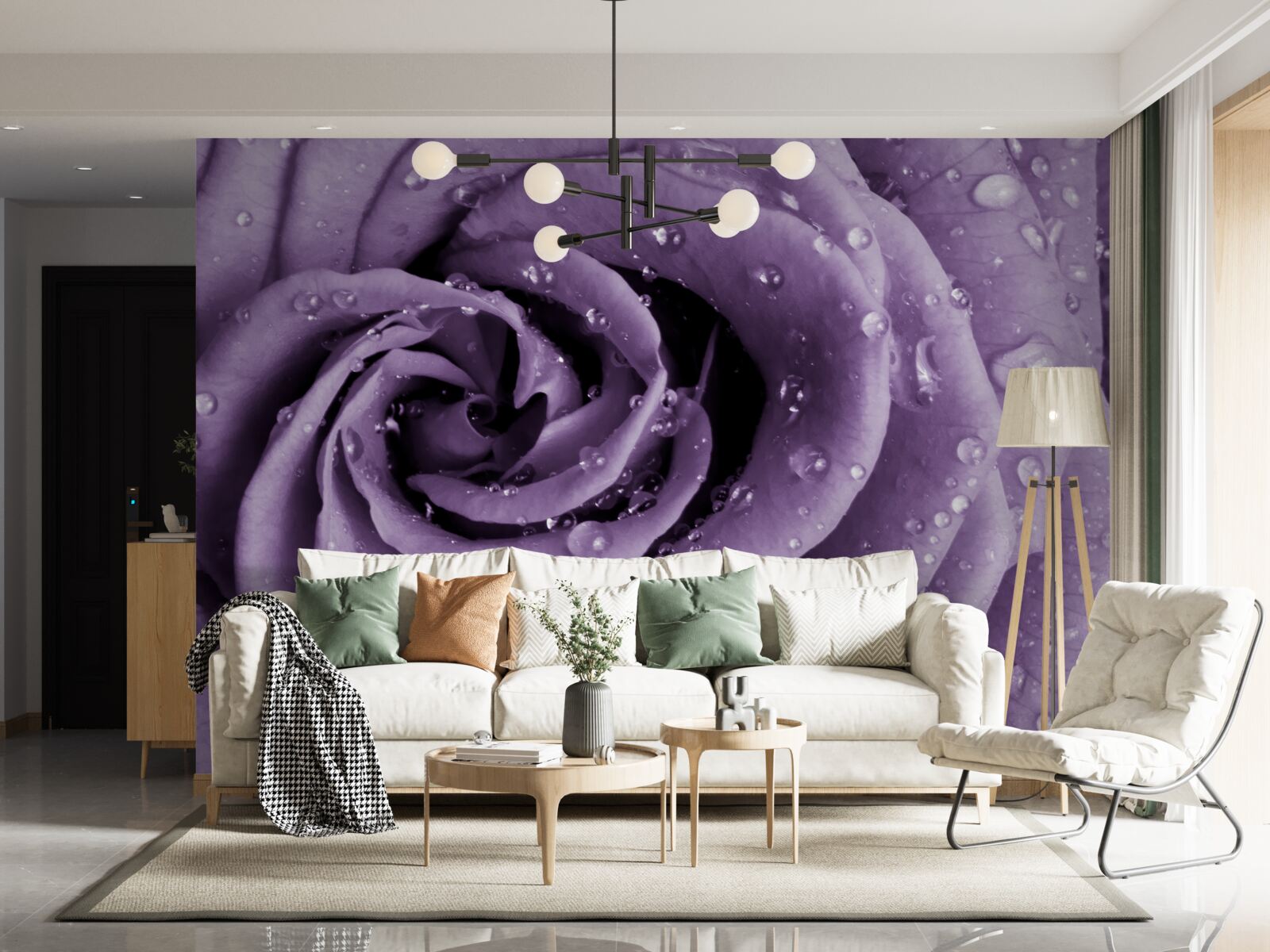 Fototapet roua dimineții pe un trandafir violet