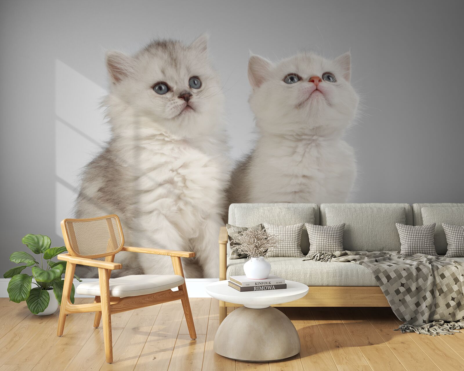 Fototapet observă două pisici mici