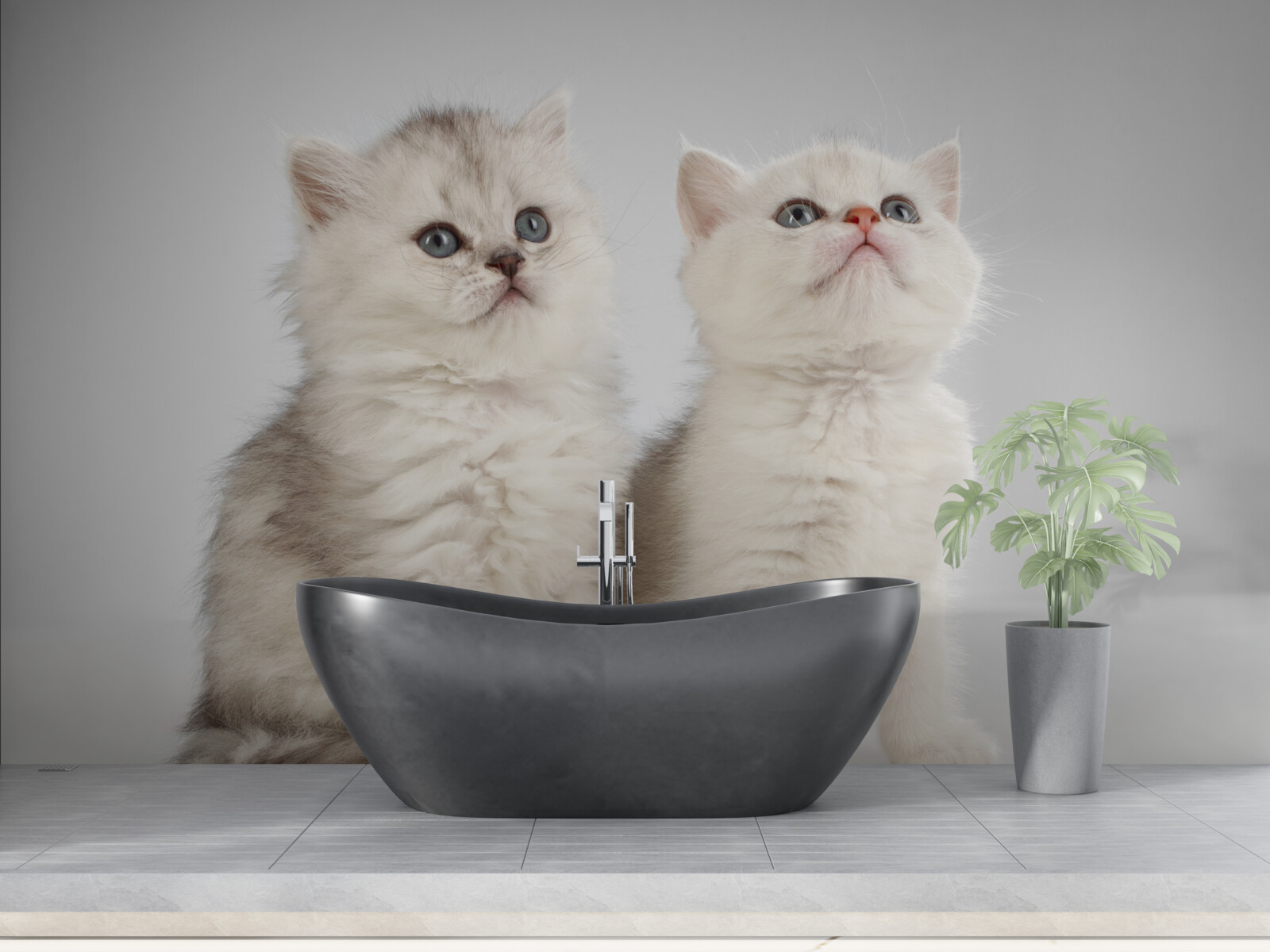 Fototapet observă două pisici mici