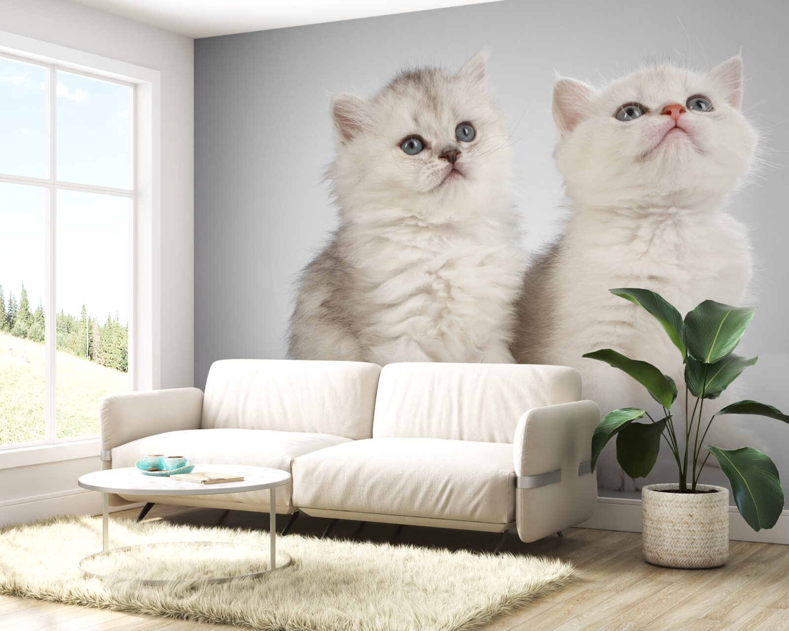 Fototapet observă două pisici mici