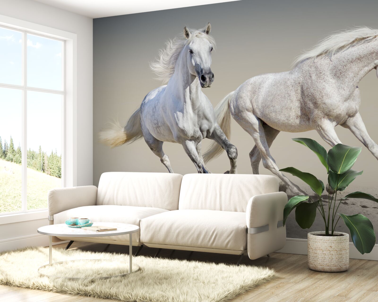 Fototapet doi armăsari ușori se întrec pe o suprafață nisipoasă