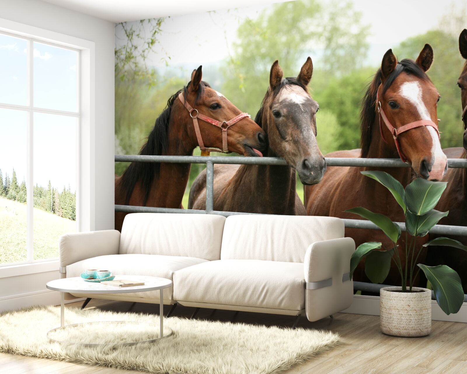 Fototapet există patru cai maro în incintă