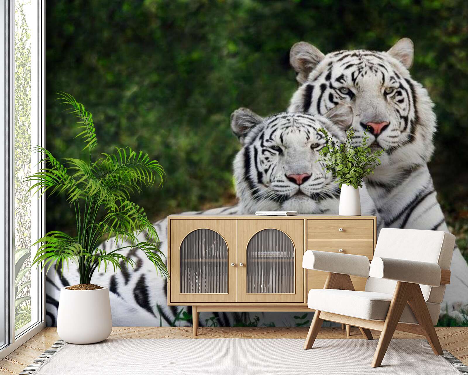 Fototapet în pădure trăiesc doi tigri albi, căsătoriți cu