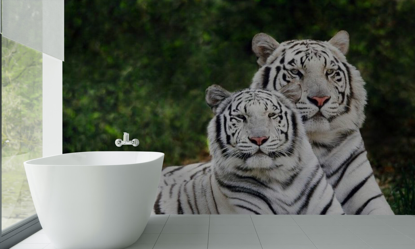 Fototapet în pădure trăiesc doi tigri albi, căsătoriți cu