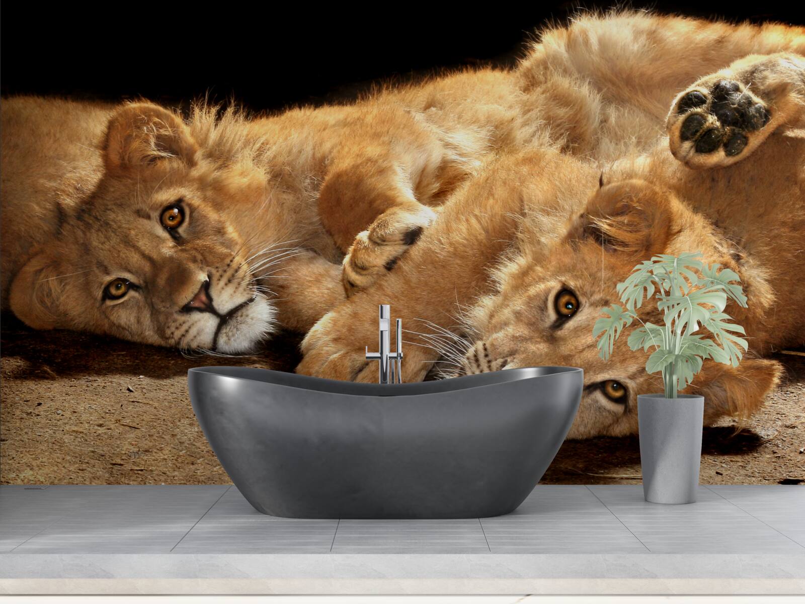 Fototapet leii tineri se joacă pe pământ